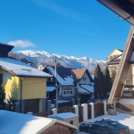Vila Panselutelor 6 Sinaia Exterior foto
